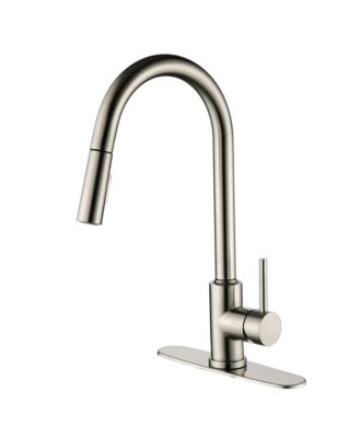 Single Handle Stainless Steel Pull-Out Kitchen Faucet with 2-Mode Sprayer and 360degree(s) Swivel Spout