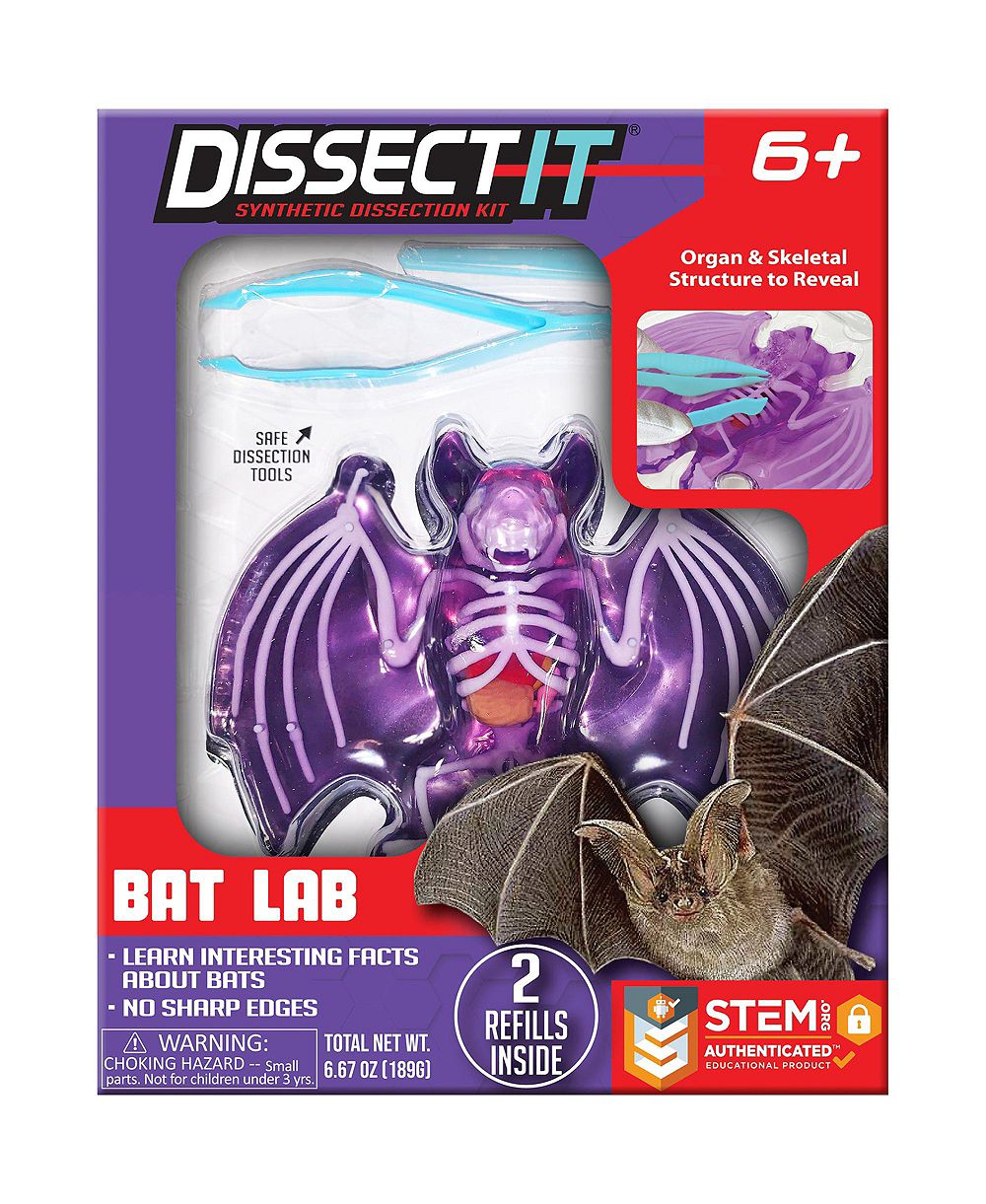 Dissect-It реалистичный набор для анатомических исследований Bat Lab, от 6 лет