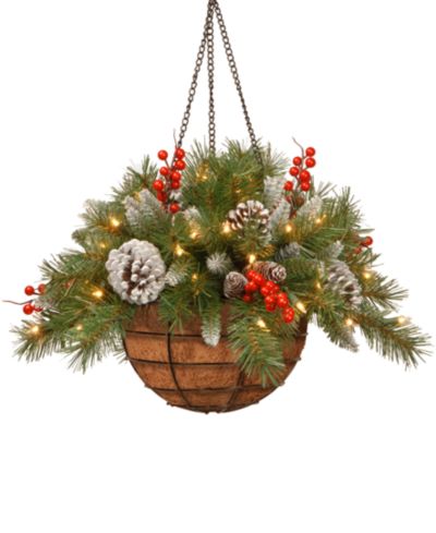 National Tree Company 20" Frosted Berry Hanging Basket With Cones, Berries & 50 LED Battery-Operated Lights With Timer