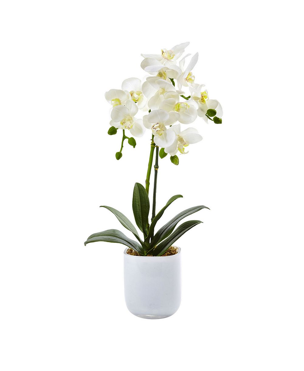 Nearly Natural орхидея Phalaenopsis в матовом стекле