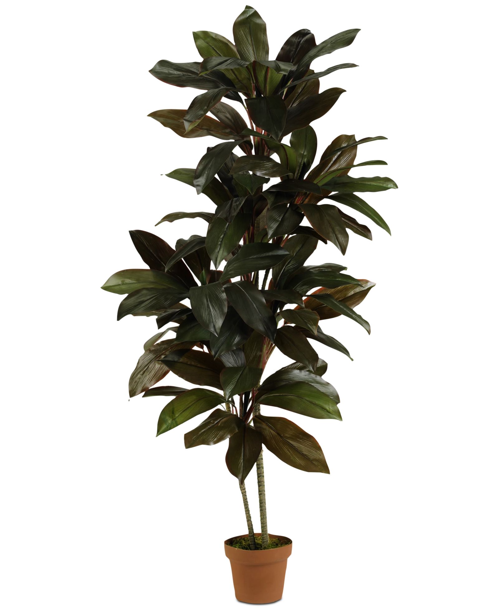 Искусственное растение Nearly Natural 5' Cordyline Real Touch
