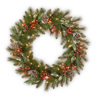 National Tree Company Frosted Pine Berry Collection, 24" Wreath