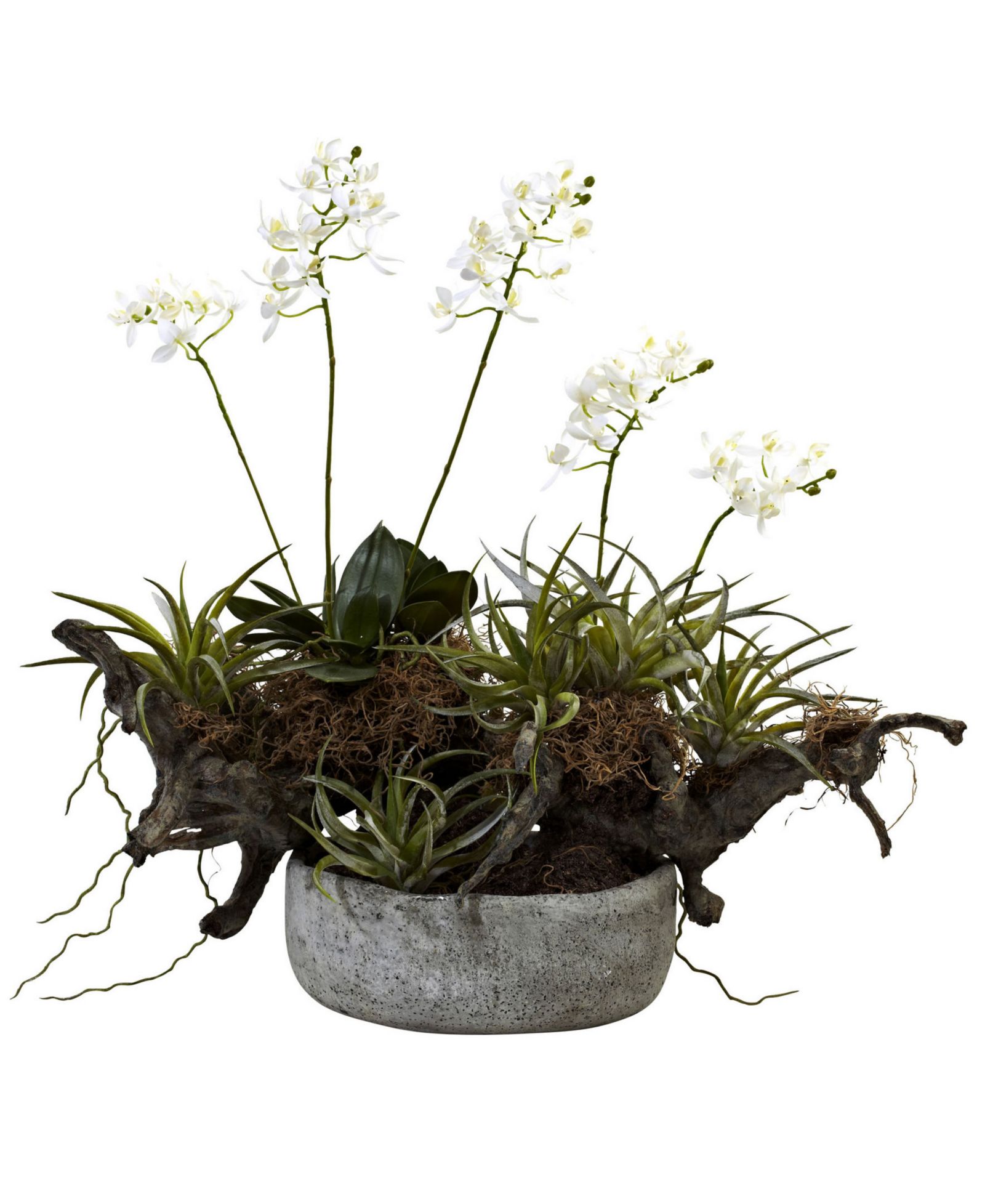 Nearly Natural Orchid and Succulent Garden w/ Driftwood and Decorative Vase