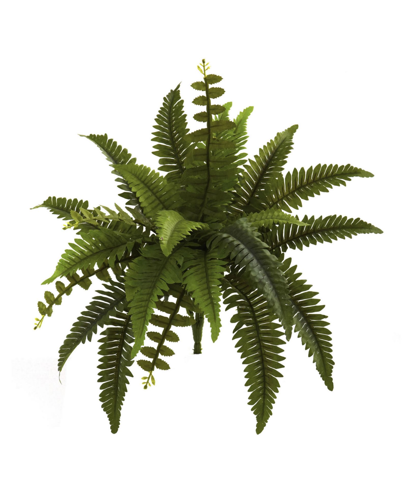 Искусственное растение Nearly Natural 14" Boston Fern, комплект из 6 шт.