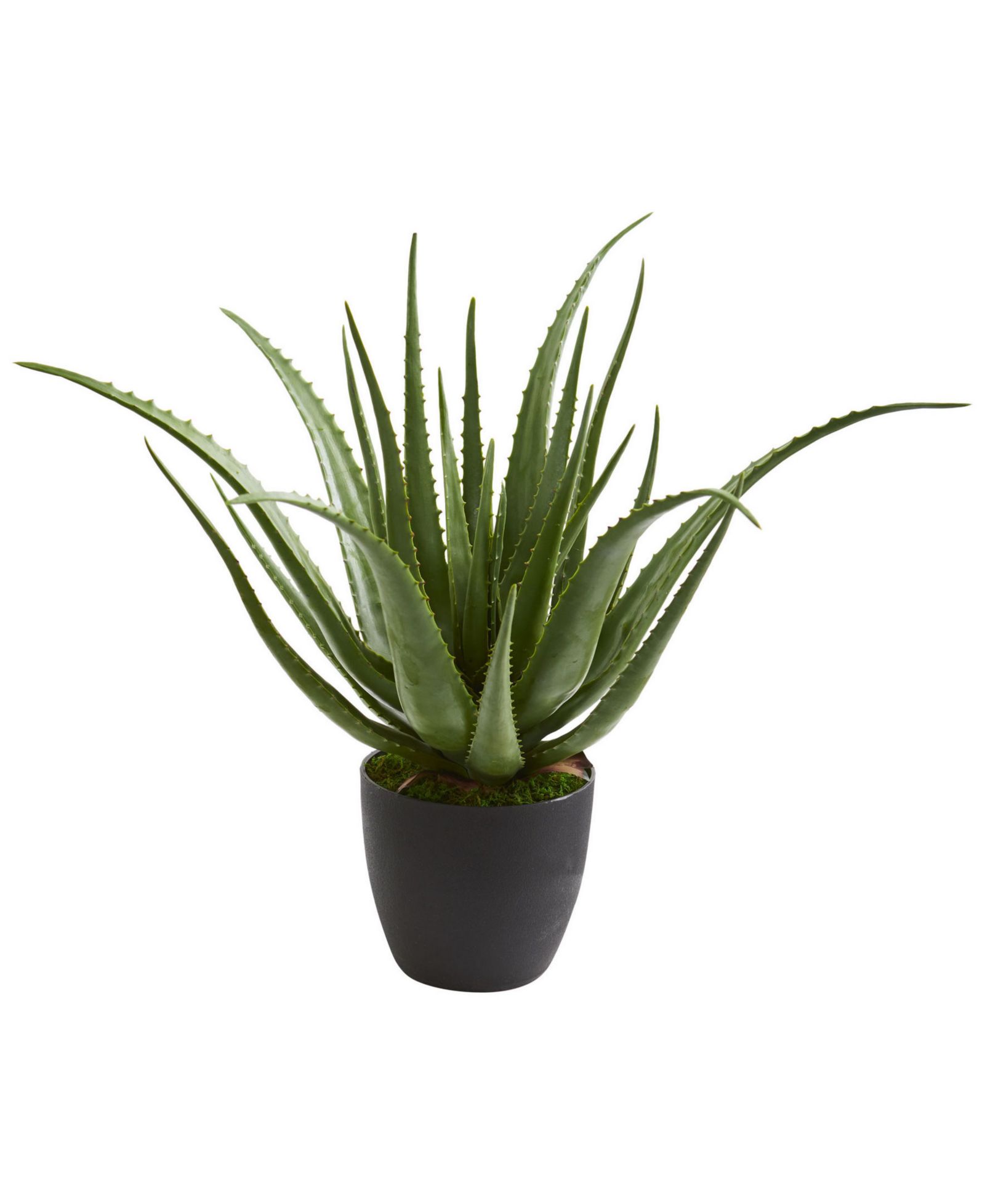 Искусственное растение Nearly Natural Aloe