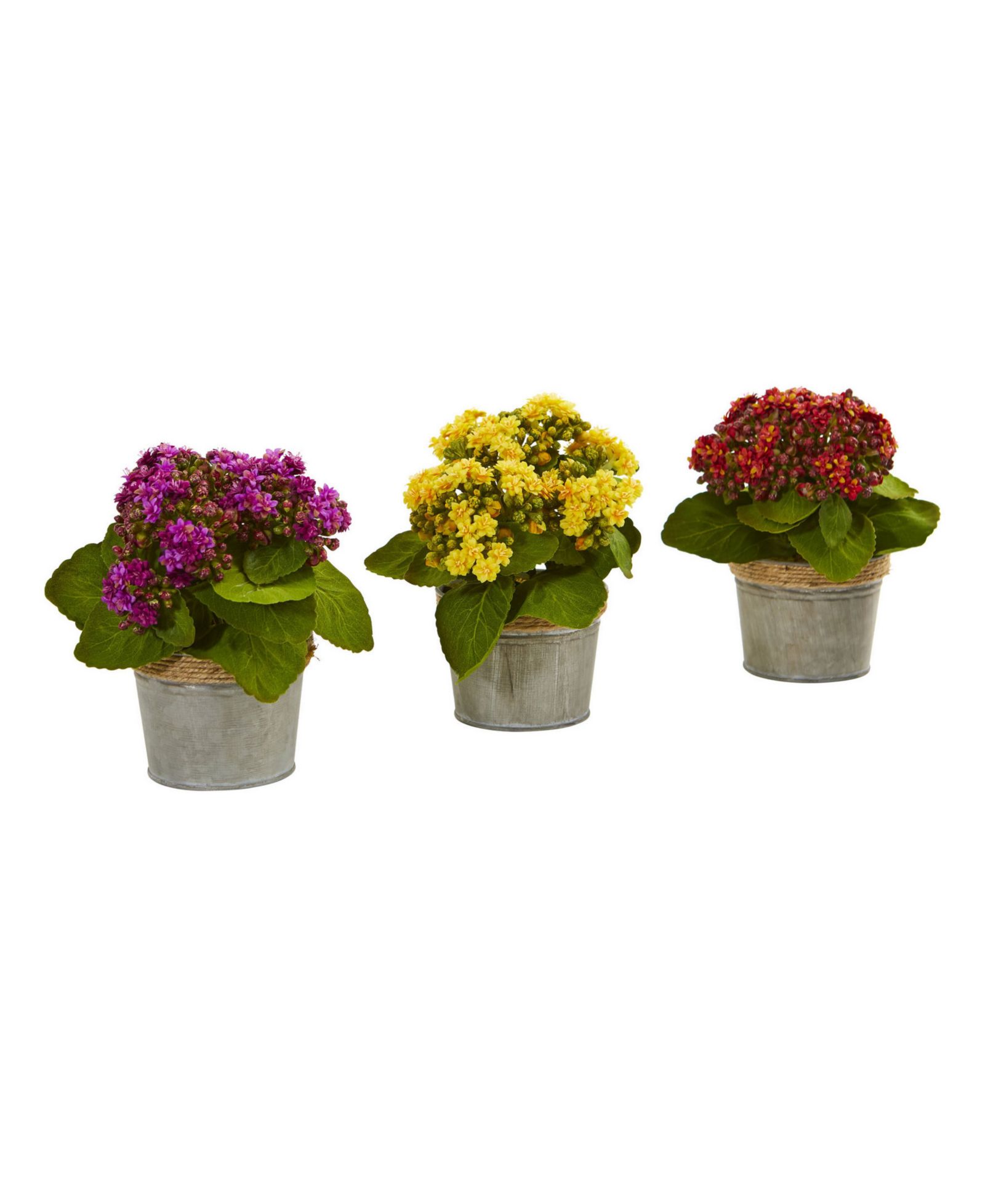 Искусственные цветы Nearly Natural Kalanchoe Arrangements 3 шт
