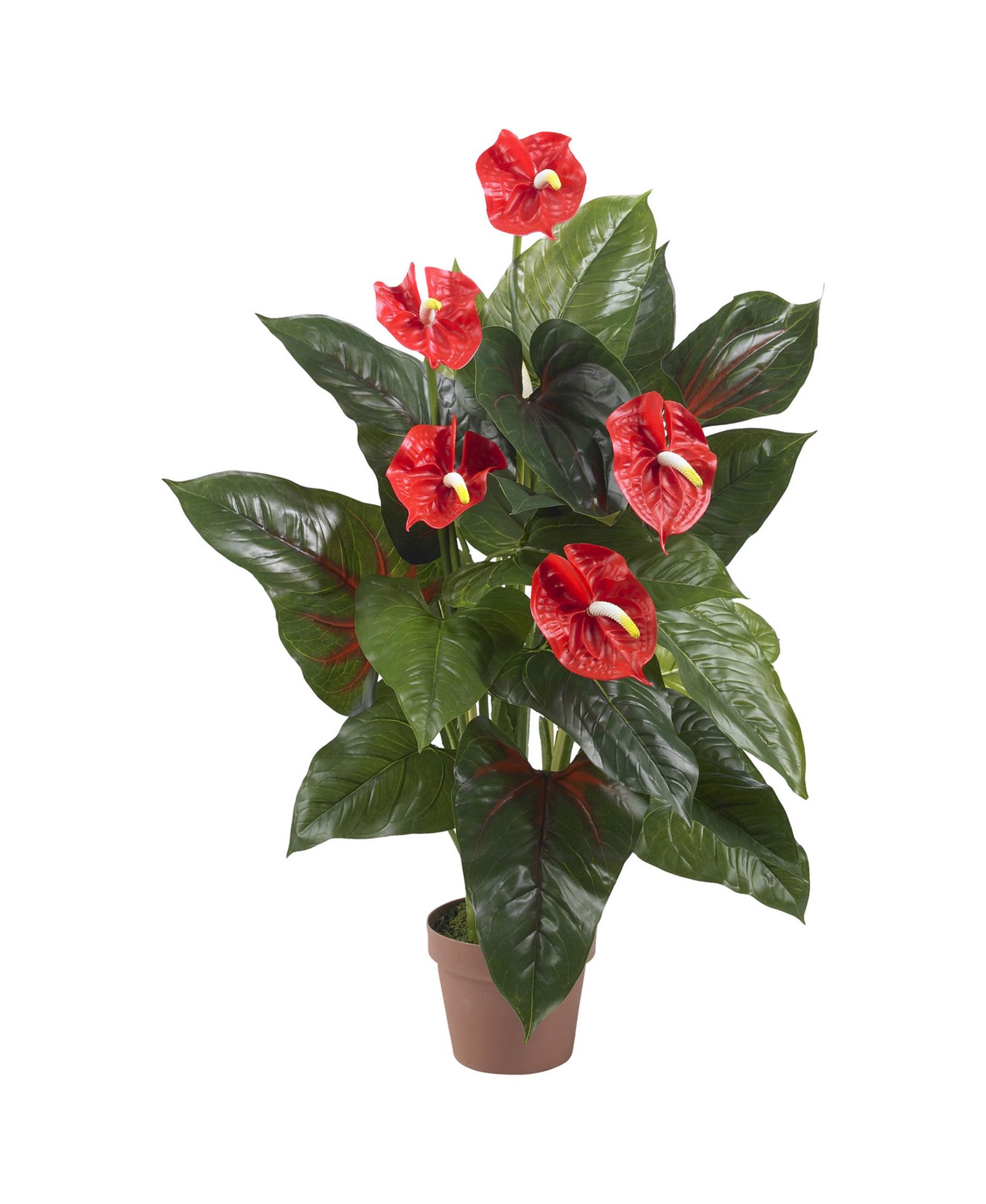 Искусственное растение Nearly Natural Anthurium 3'