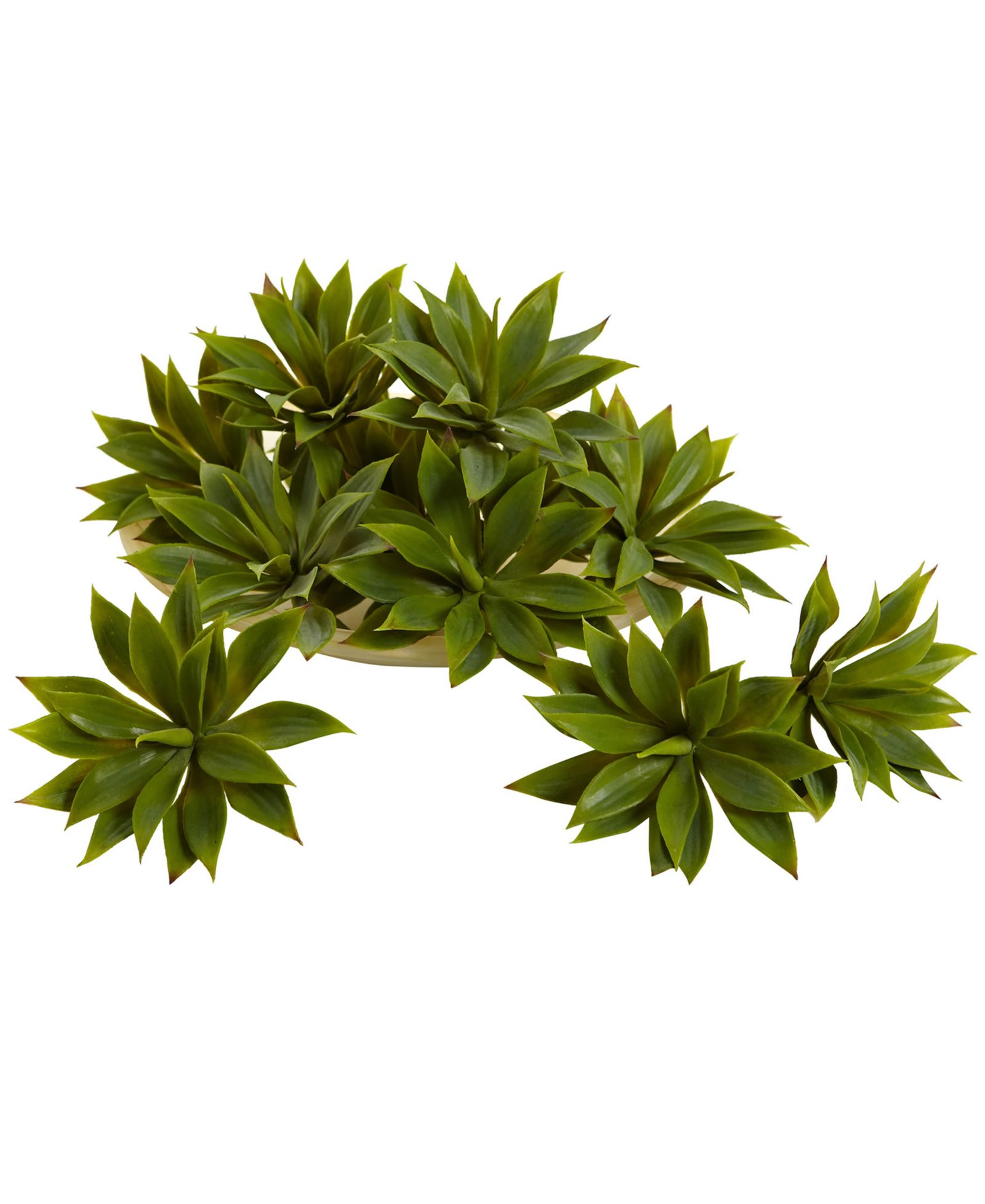 Набор суккулентов Nearly Natural Mini Agave, 12 штук
