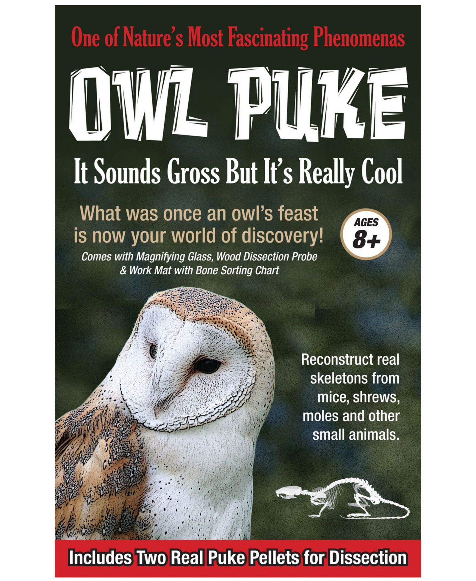 Образовательный игровой набор Areyougame Owl Puke