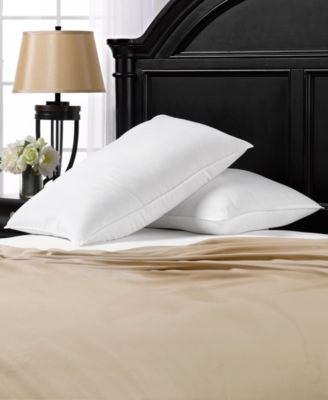 Подушка Ella Jayne Signature Plush Allergy-Resistant, 2 шт, Standard