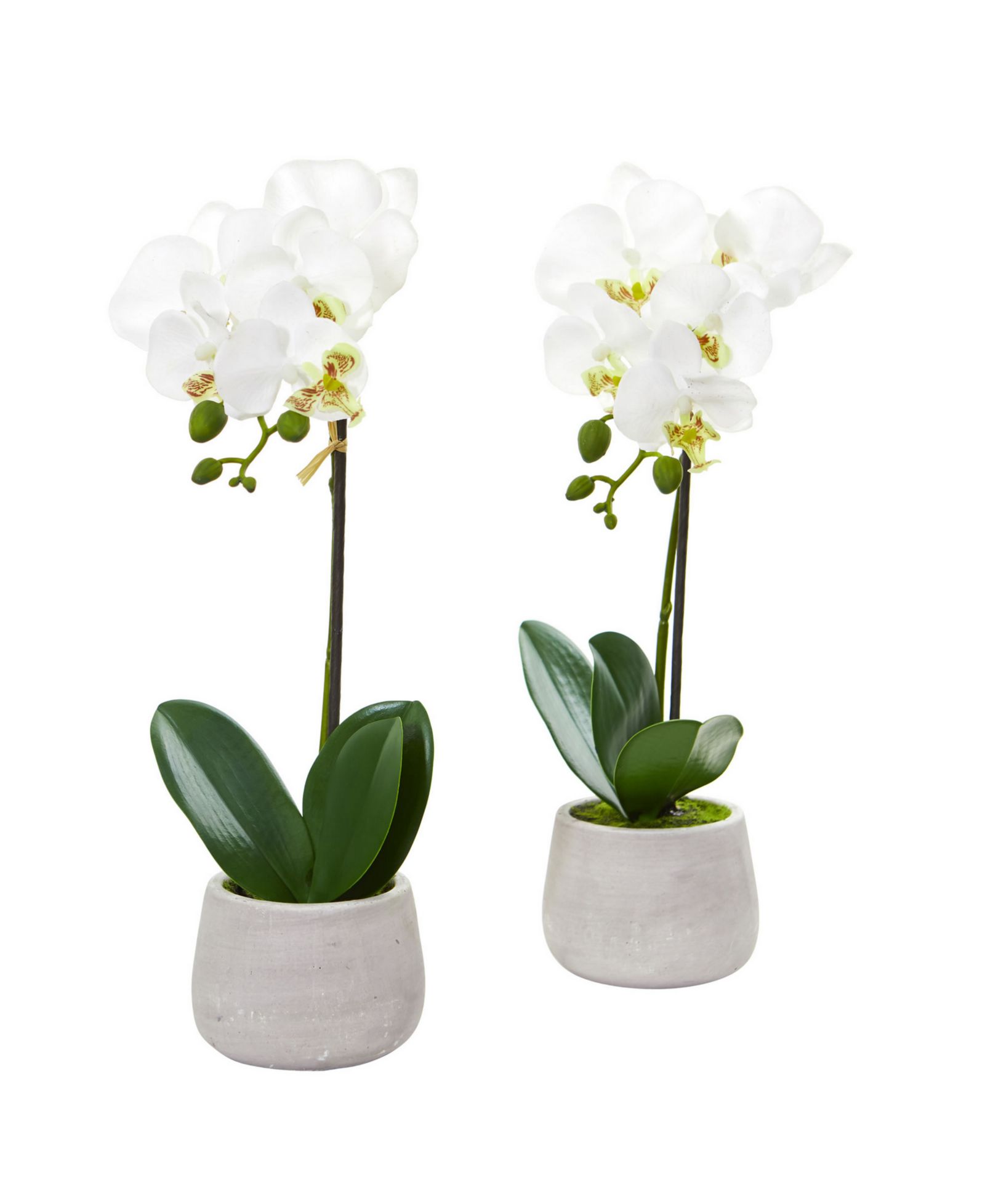 Искусственный букет Nearly Natural Phalaenopsis Orchid (Set of 2)