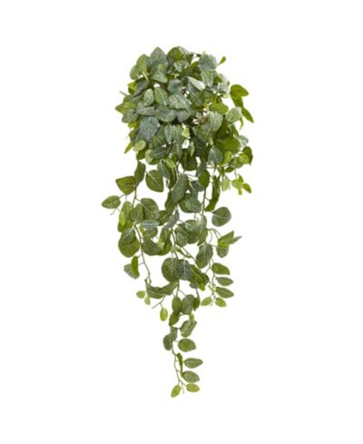 Искусственное растение Nearly Natural 36” Fittonia Hanging Bush (Set of 2)