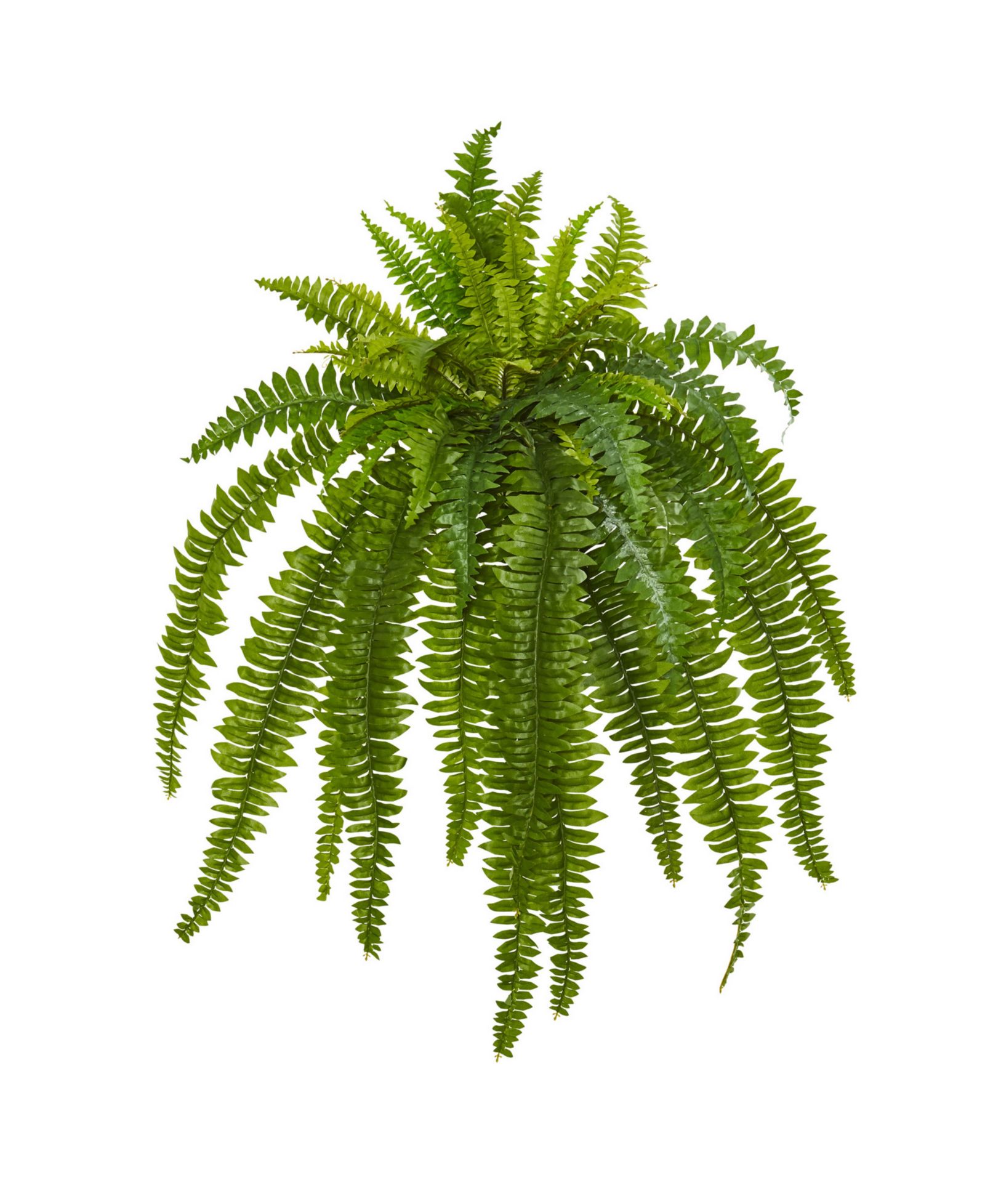 Искусственное растение Nearly Natural Boston Fern 35” (набор из 2 шт.)
