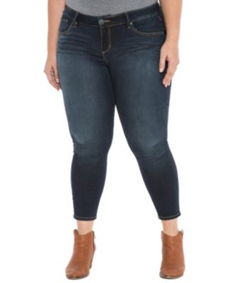 Slink Jeans Women's Denim High Rise Ankle Skinny in 27" inseam - Summer