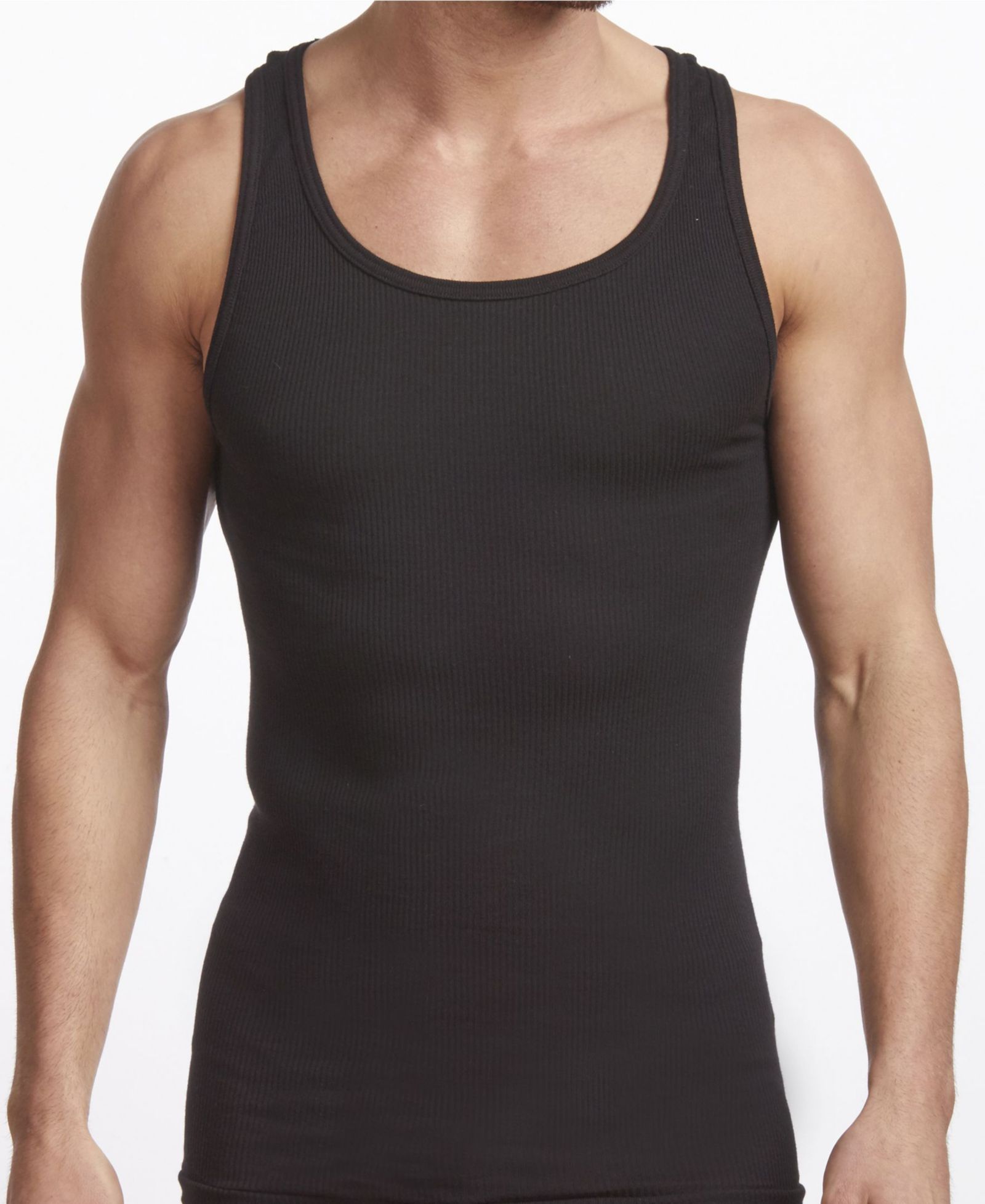 Stanfield's Premium Cotton Men's 2 Pack Tank Top