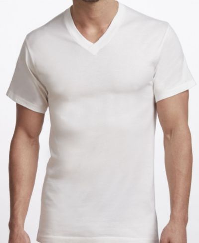 Stanfield's Premium Cotton Men's 2 Pack V-Neck Undershirt
