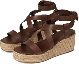 Desert Brown