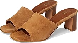 Tan 1