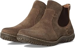 Taupe (Avola)