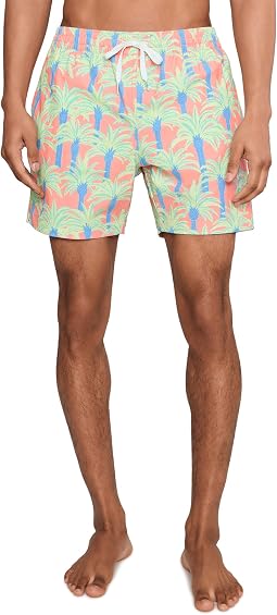 Мужские плавки Chubbies The Easy Breezys 5.5" (Классические подбитые плавки для плавания)