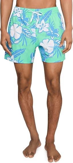 Мужские плавательные шорты Chubbies The Baja Breezies Green 5.5" (Classic Lined)