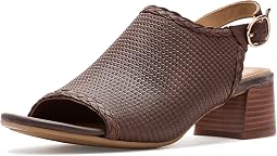 Cocoa Brown