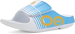 Argentina Flag