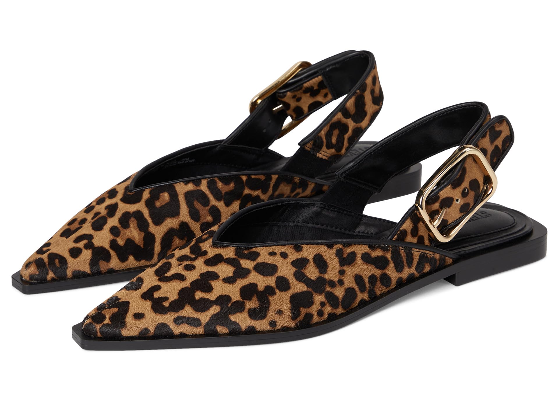 Shay балетки Steve Madden