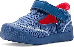 Кеды Naturino Free Open 2 Vl (toddler/Little Kid)