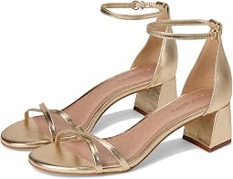 Gold Leather