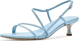 Spring Blue