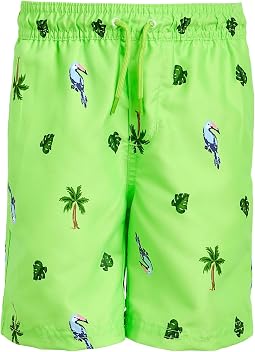 Green Palm
