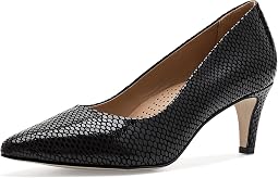 Black Snake