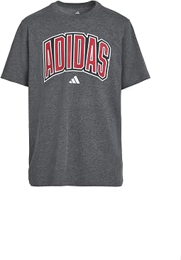 Collegiate Arch Heather Tee (Big Kid)