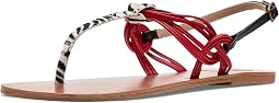 Zebra/Red/Black