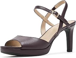 Chocolate Plum