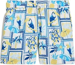 Плавки для плавания Printed Swim Trunks (Toddler/Little Kid/Big Kid)