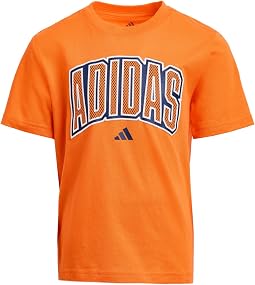 Graphic Tee (Toddler/Little Kids)