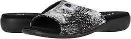 Black Snake Print
