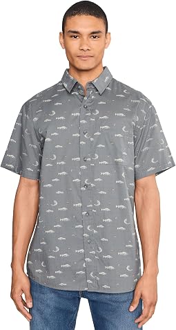 Fish Grey