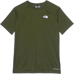Forest Olive