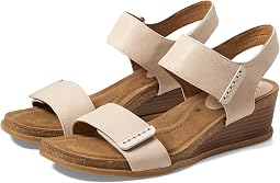 Tapioca Grey