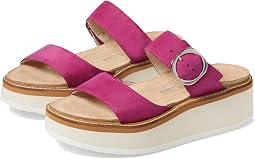 Pink Plum