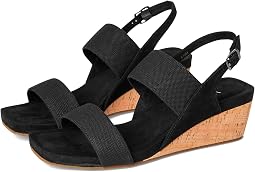 Black Linelast