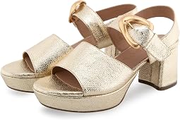 Soft Gold Canvas