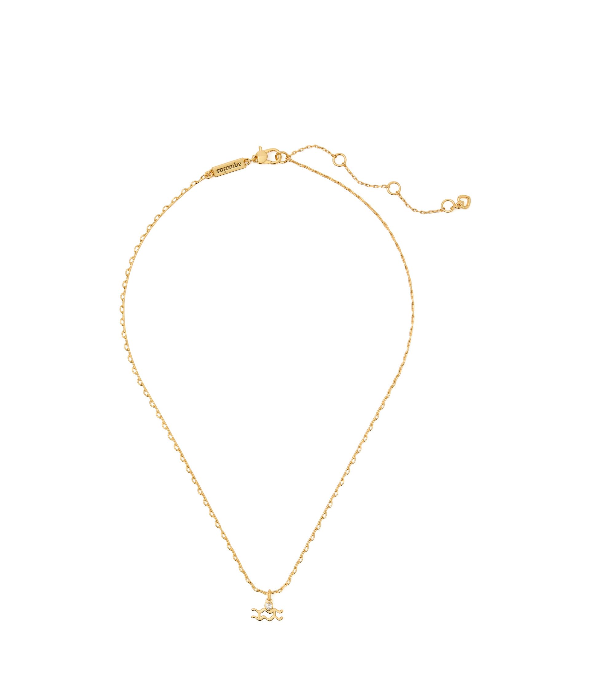 What'S Your Sign Aquarius Mini Pendant
