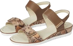 Camel Multi