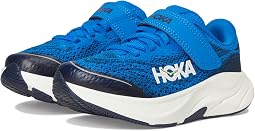 Electric Cobalt/Varsity Navy