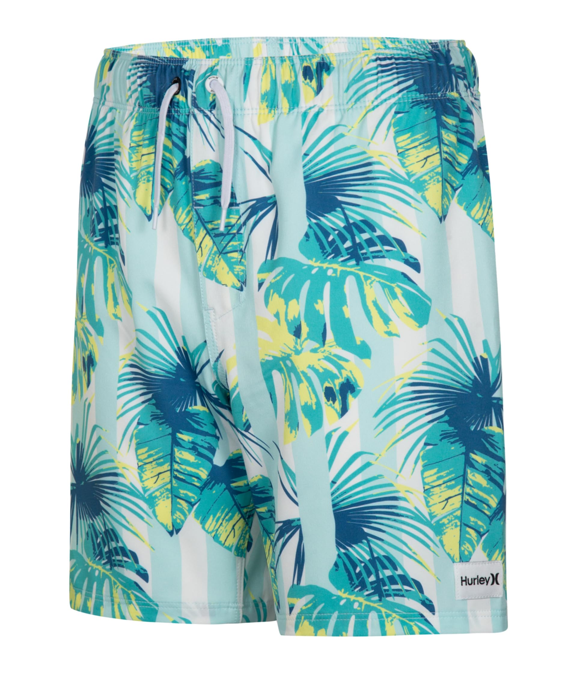 Cabana Stripe Pull On Swim Trunk (Little Kid)