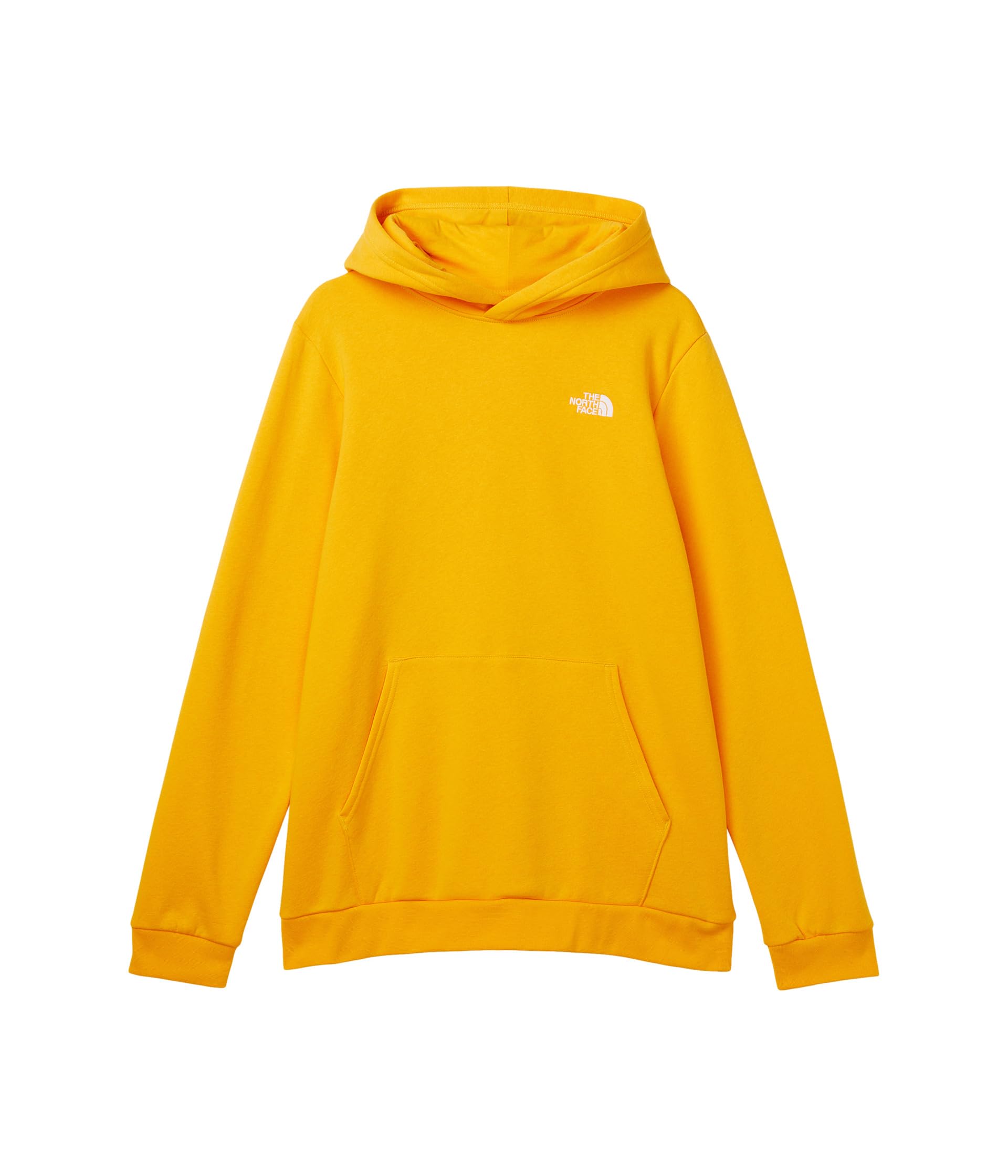 Evolution EMB Pullover Hoodie (Little Kid/Big Kid)